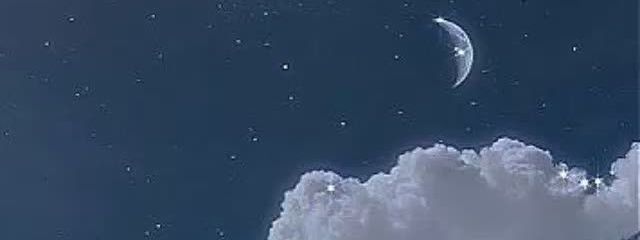 海月さんの壁紙画像