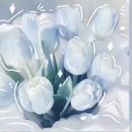 Skyさんのアイコン画像