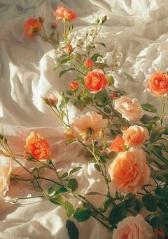 雪 男 さ ん た ち の B L 集