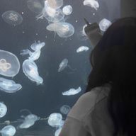 ゆりさんのアイコン画像