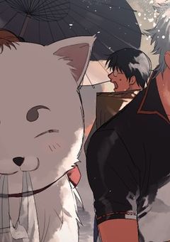 銀魂。   〜万事屋銀ちゃん、と謎の3人??〜  