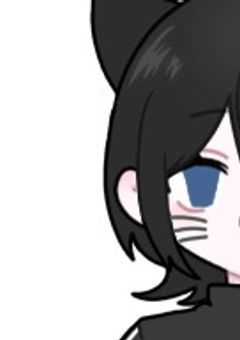 ネコのコウドウをミマモるヘヤ(ΦωΦ)