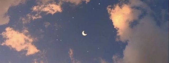 しらすさんの壁紙画像