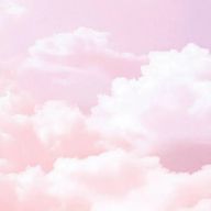 桜乃さんのアイコン画像