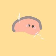 ただのばかさんのアイコン画像
