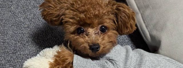 閲覧厳禁＆相互フォロー拒否さんの壁紙画像