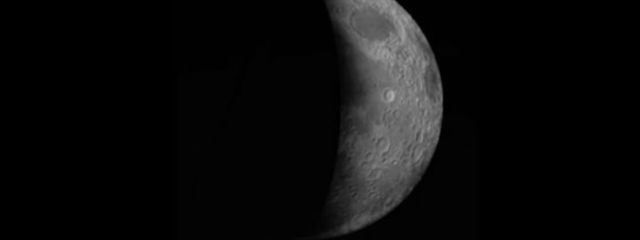 ぐくのぴあすさんの壁紙画像