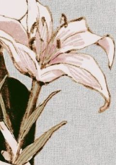 高嶺 の 花は お嫌い ？