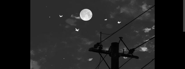  ↺ 空華 _ ＃☂さんの壁紙画像