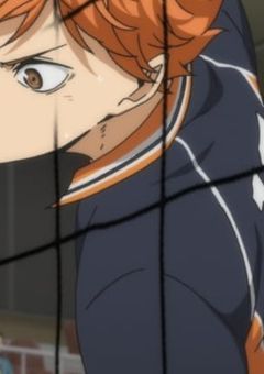 日向の最強の相棒は"最恐"で"最弱"