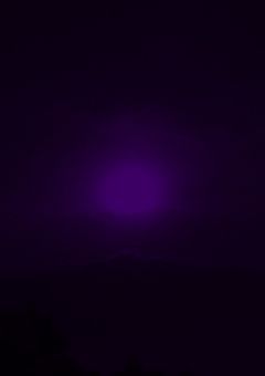 写真載せる