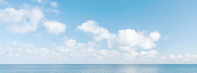 時雨さんの壁紙画像