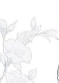 仮面 を 被った ヒーロー さん 。  