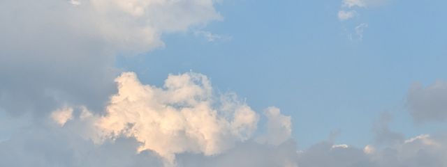 ようかんさんの壁紙画像