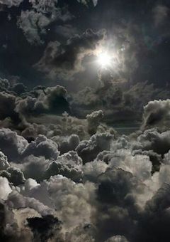 転生少女は捕らわれの身__。