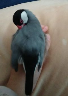 自傷行為とかの部屋