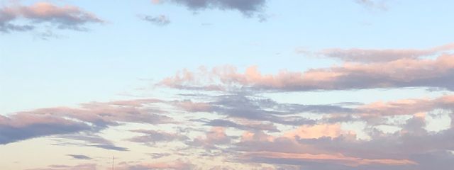 桜もっちさんの壁紙画像