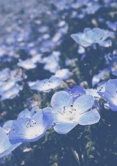 Kmt　｜　パワハラ会議、無断欠席してみた。