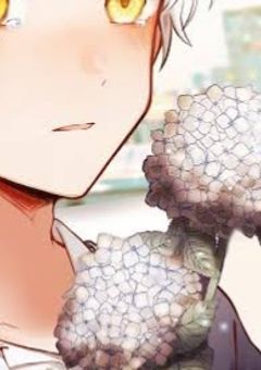 拝啓、雲の上の兄へ。