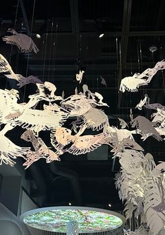 ☆・実写𝚛𝚘𝚘𝚖・☆