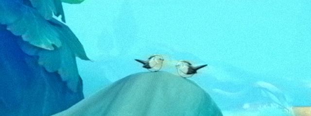 ら て ぃ め り あ さんの壁紙画像