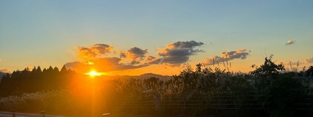 みる@低浮上さんの壁紙画像