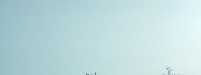 蒼空さんの壁紙画像