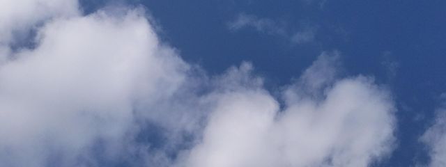 雨縫井苑李さんの壁紙画像