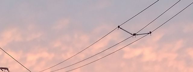 〚錠剤〛　さんの壁紙画像