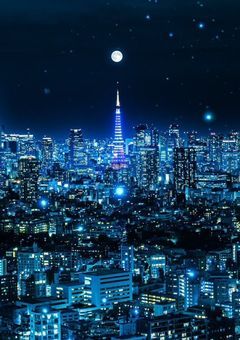 ★　/　夢って、何でもありらしいよ　.