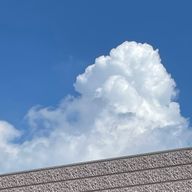 みさきさんのアイコン画像