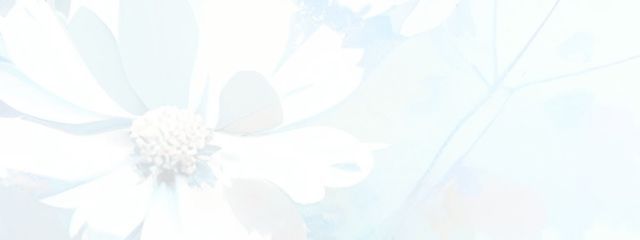 Cさんの壁紙画像