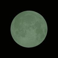 バグ大好きの名無しさんのアイコン画像