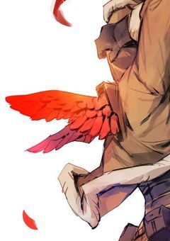 ホークスが保護した狐、懐く人には懐くようです