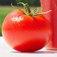 👁🗨さんのアイコン画像