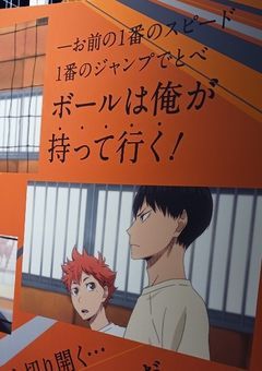 烏野のマネージャーは