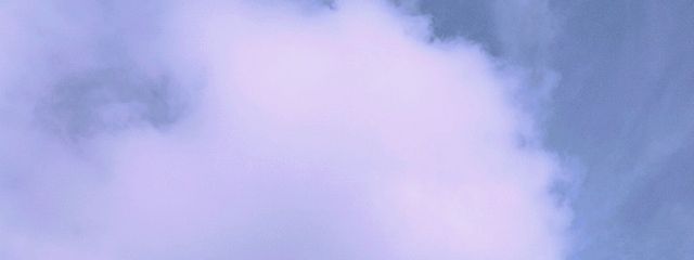 あぉ。さんの壁紙画像