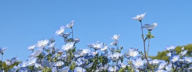 あとら。さんの壁紙画像