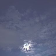 零さんのアイコン画像