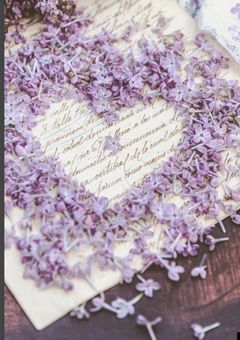 SAMO　highschool life