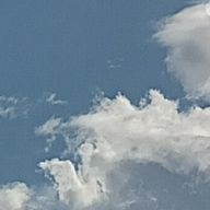 白鳥のサンダルさんのアイコン画像