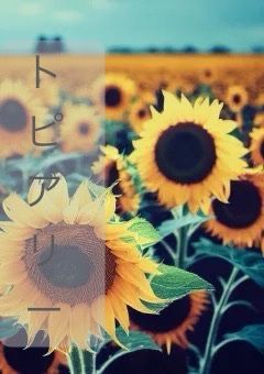 ใใใขใชใผ