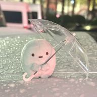 さなさんのアイコン画像