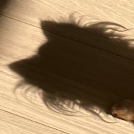 あわわん　さんのアイコン画像