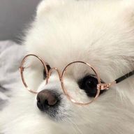 れいんさんのアイコン画像