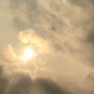 ゆえさんのアイコン画像