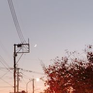 くくな🧸さんのアイコン画像