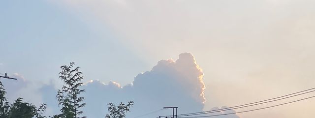 栗狗  最近は無浮　さんの壁紙画像