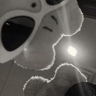 あんずっこさんのアイコン画像