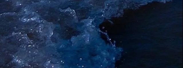 Angelさんの壁紙画像